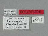 ǦW:Lochmaea lesagei Kimoto, 1996()