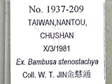中文名:竹粉蚜(1937-209)學名:Melanaphis bambusae (Fullaway, 1910)(1937-209)中文別名:bamboo aphid