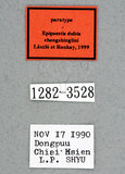 ǦW:Epipsestis dubia GY. M. Laszlo and G. Ronkay, 1999(1282-3528)
