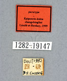 ǦW:Epipsestis dubia GY. M. Laszlo and G. Ronkay, 1999(1282-19147)