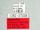 ǦW:Chaetoceras bimaculata Yen & Chen, 1997(1282-27338)