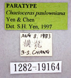 ǦW:Chaetoceras paulowniana Yen & Chen, 1997(1282-19164)