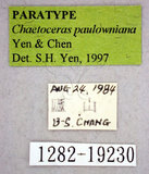 ǦW:Chaetoceras paulowniana Yen & Chen, 1997(1282-19230)