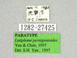 ǦW:Latiplema pernigratoides Yen & Chen, 1997(1282-27425)