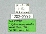 ǦW:Latiplema pernigratoides Yen & Chen, 1997(1282-27716)
