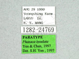 ǦW:Phazaca insulata Yen & Chen, 1997(1282-24769)