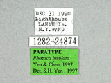 ǦW:Phazaca insulata Yen & Chen, 1997(1282-24874)