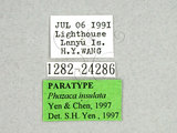 ǦW:Phazaca insulata Yen & Chen, 1997(1282-24286)