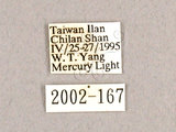 中文名:枯球蘿紋蛾(2002-167...