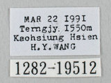 W:Ź_(1282-19512)
