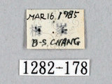 中文名:褐帶蛾(1282-178)