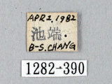中文名:褐帶蛾(1282-390)