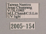 中文名:小暮蟬(2005-154)