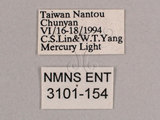 中文名:小暮蟬(3101-154)學名:Tanna viridis Kato, 1925(3101-154)中文別名:埔里新螗蟬