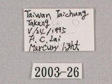 中文名:台灣騷蟬(2003-26)