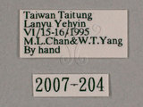 W:(2007-204)