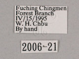 W:(2006-21)