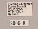 W:(2006-8)