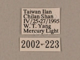 中文名:鋸線天蛾(2002-223)
