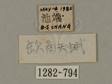 中文名:缺角天蛾(1282-794)
