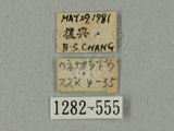 中文名:葡萄缺角天蛾(1282-555)