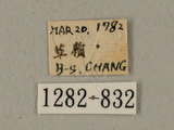 中文名:葡萄缺角天蛾(1282-832)