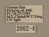 W:ʨѸ(2002-4)