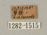 中文名:白薯天蛾(1282-1515)