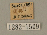 中文名:白薯天蛾(1282-1509)