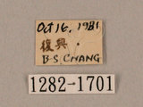 中文名:鷹翅天蛾(1282-1701)