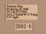 W:xWѸ(2002-6)