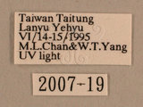 W:IuѸ(2007-19)
