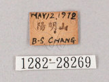 中文名:綠背斜紋天蛾(1282-28269)
