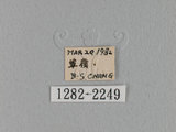 中文名:鋸緣枯葉蛾(1282-224...