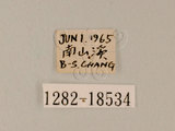 W:饻ǽ(pǽ)(1282-18534)