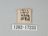 中文名:紋白蝶(白粉蝶)(1282-17233)