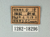 中文名:紋白蝶(白粉蝶)(1282-18296)