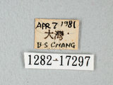 中文名:台灣紋白蝶(1282-17297)