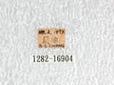 中文名:珠光鳳蝶(1282-16904)學名:Troides magellanusMatsumura subsp. sonani(1282-16904)