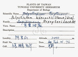 中文名:斜方複葉耳蕨(P007434)學名:Arachniodes rhomboides (Wall.) Ching(P007434)