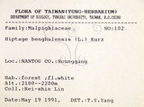 中文名:墨點櫻桃(S071913)學名:Prunus phaeosticta (Hance) Maxim.(S071913)中文別名:黑星櫻英文名:Dark-spotted Cherry