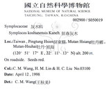 中文名:筆羅子(S050019)學名:Meliosma rigida Sieb. & Zucc.(S050019)英文名:Stiff-leaf Meliosma