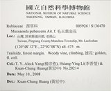 中文名:寶島玉葉金花(S136470)學名:Mussaenda formosanum (Matsum.) T. Y. A. Yang & K. C. Huang(S136470)