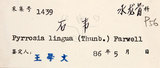 中文名:石葦(P003365)