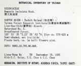 中文名:裂葉秋海棠(S017530)學名:Begonia palmata D. Don(S017530)