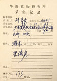 中文名:福建賽衛矛 (S037397)學名:Microtropis fokienensis Dunn(S037397)中文別名:福建假衛矛英文名:Fokien microtropis