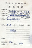 中文名:白臼(S039227)學名:Sapium discolor Muell.-Arg.(S039227)英文名:Taiwan Sapium, Taiwan Tallow-tree
