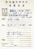 中文名:白臼(S040760)學名:Sapium discolor Muell.-Arg.(S040760)英文名:Taiwan Sapium, Taiwan Tallow-tree