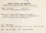 中文名:臺灣石楠(S089473)學名:Pourthiaea lucida Decaisne(S089473)英文名:Taiwan Photinia
