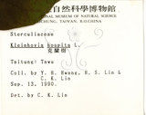 中文名:克蘭樹(S001331)